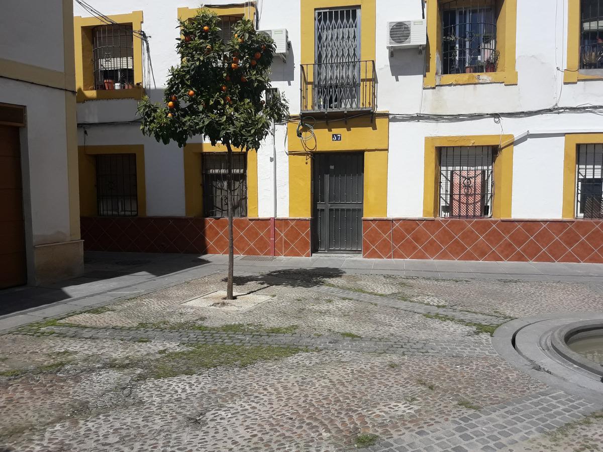 Sleep & Shower In A Typical District Córdoba Eksteriør billede